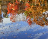 fall tress water reflection