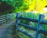 outdoor path